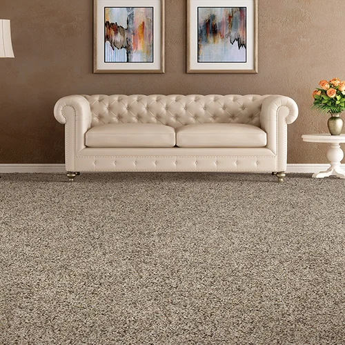Riemer Floors providing stain-resistant pet proof carpet in in Bloomfield hills, MI