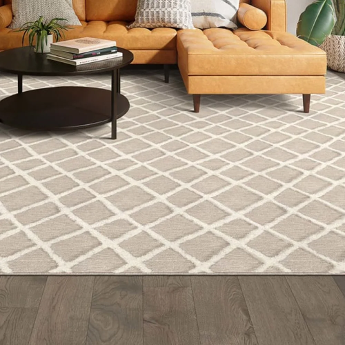 Best area rug in West Bloomfield, MI from Riemer Floors